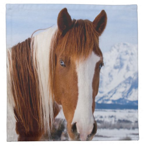 USA Wyoming Grand Teton National Park 3 Cloth Napkin