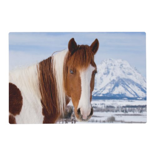 USA Wyoming Grand Teton National Park 3 Placemat