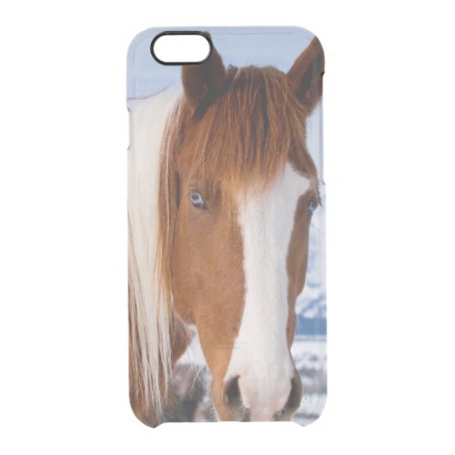 USA Wyoming Grand Teton National Park 3 Clear iPhone 66S Case