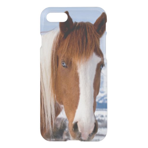 USA Wyoming Grand Teton National Park 3 iPhone SE87 Case