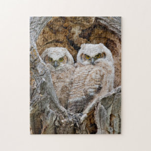 USA, Wyoming, Grand Teton National Park Jigsaw Puzzle