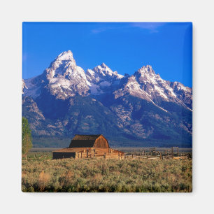 USA, Wyoming, Grand Teton National Park, Morning Magnet
