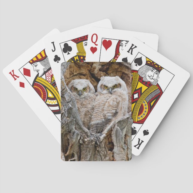 USA, Wyoming, Grand Teton National Park Poker Cards (Back)
