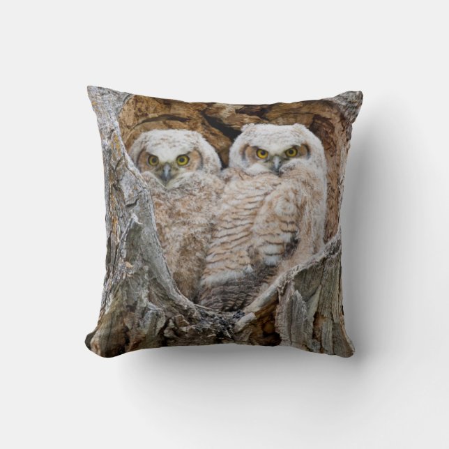 USA, Wyoming, Grand Teton National Park Throw Pillow (Front)