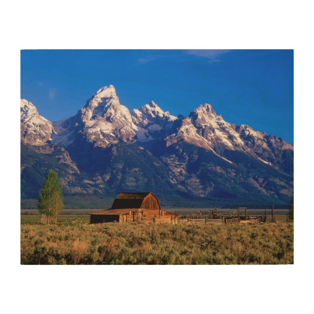 USA, Wyoming, Grand Teton National Park Wood Wall Art (Front)