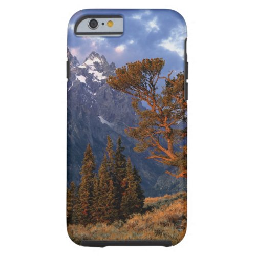 USA Wyoming Grand Teton NP A lone cedar Tough iPhone 6 Case