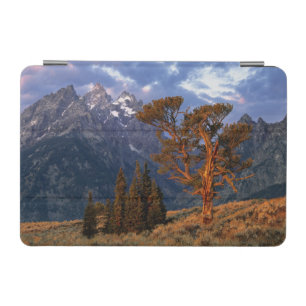 USA, Wyoming, Grand Teton NP. A lone cedar iPad Mini Cover