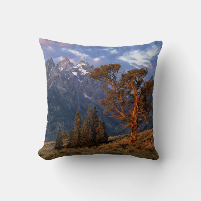 USA, Wyoming, Grand Teton NP. A lone cedar Throw Pillow (Front)