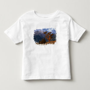 USA, Wyoming, Grand Teton NP. A lone cedar Toddler T-shirt
