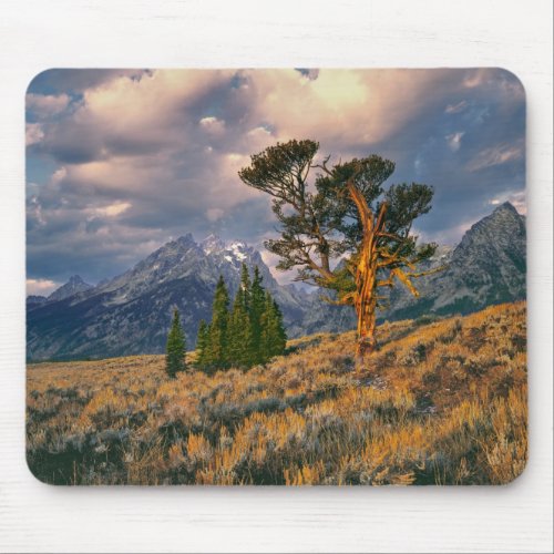 USA Wyoming Grand Teton NP Sunrise greets a Mouse Pad