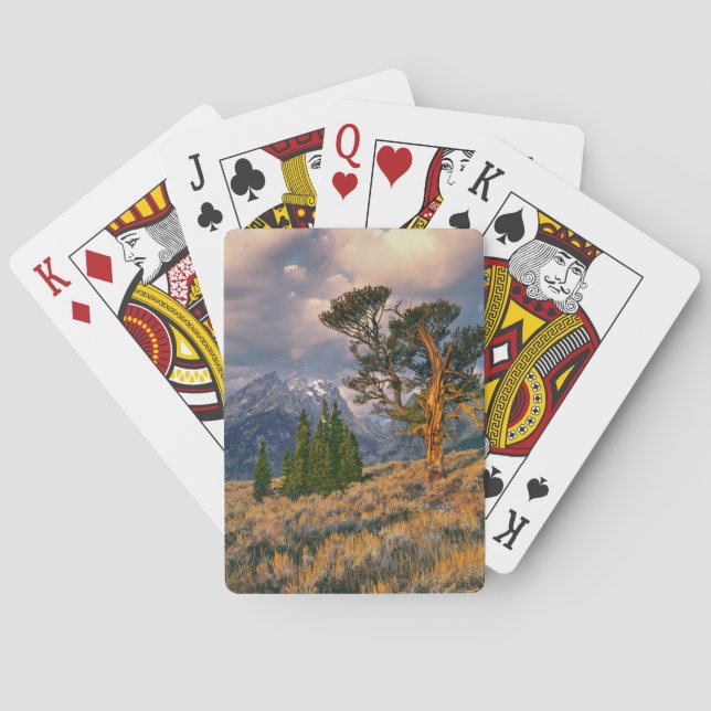 USA, Wyoming, Grand Teton NP. Sunrise greets a Poker Cards (Back)