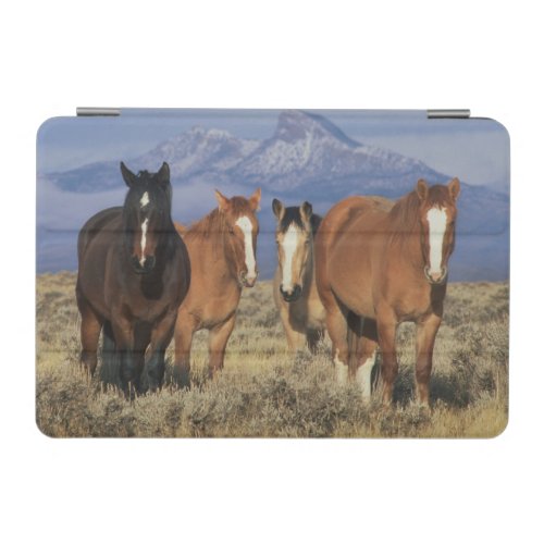 USA Wyoming near Cody Group of horses Heart iPad Mini Cover