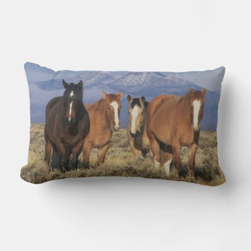 USA Wyoming near Cody Group of horses Heart Lumbar Pillow