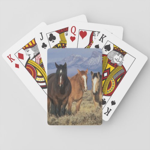 USA Wyoming near Cody Group of horses Heart Playing Cards
