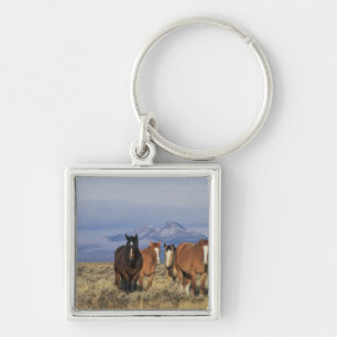 USA, Wyoming, near Cody Group of horses Keychain
