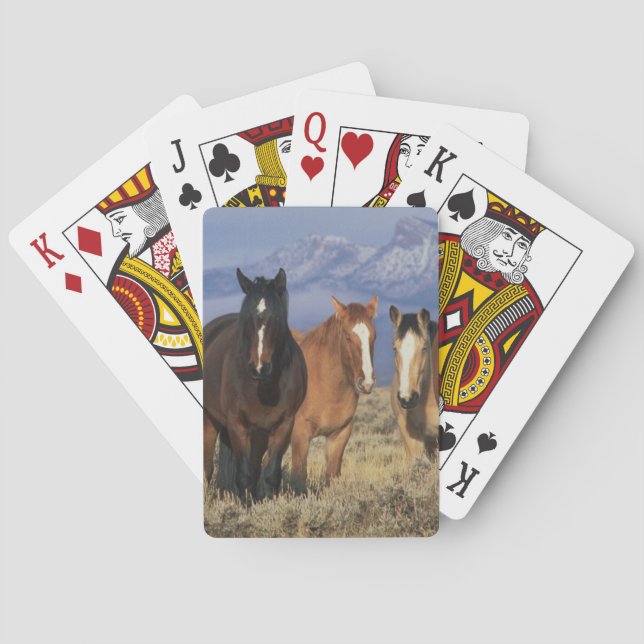USA, Wyoming, near Cody Group of horses Poker Cards (Back)