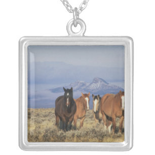 USA, Wyoming, near Cody Group of horses Silver Plated Necklace