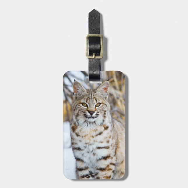 USA, Wyoming, Portrait of Bobcat Luggage Tag (Front Vertical)