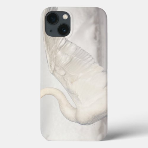 USA Wyoming Trumpeter Swan stretches wings iPhone 13 Case