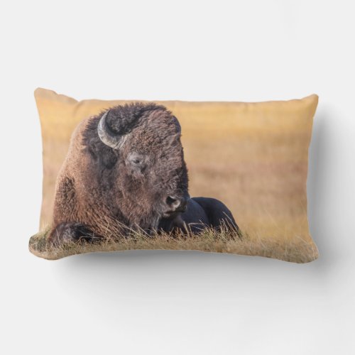 USA Wyoming Yellowstone National Park Bison Lumbar Pillow