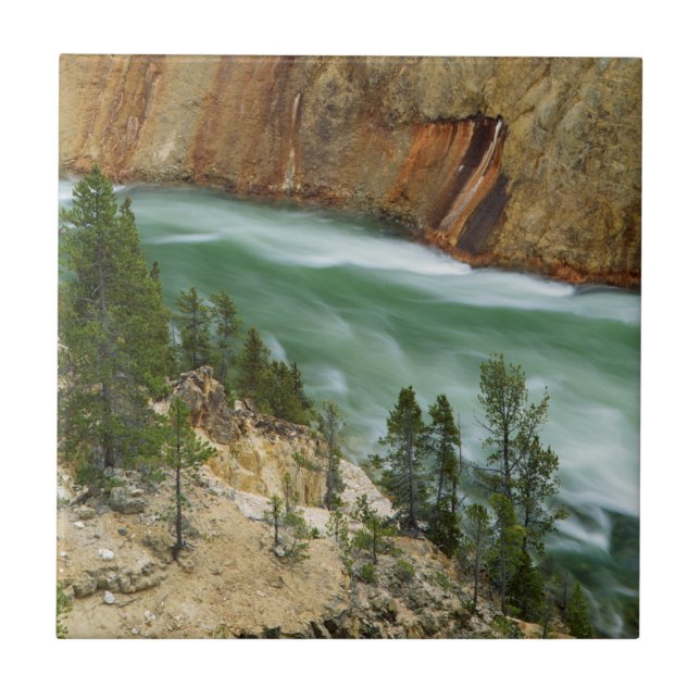 USA, Wyoming, Yellowstone National Park Ceramic Tile (Front)