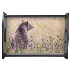 USA, Wyoming, Yellowstone National Park, Grizzly 2 Serving Tray