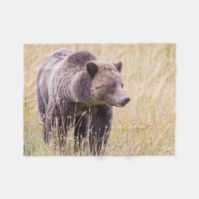 USA, Wyoming, Yellowstone National Park, Grizzly 3 Fleece Blanket (Front (Horizontal))