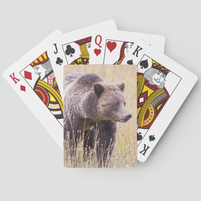 USA, Wyoming, Yellowstone National Park, Grizzly 3 Poker Cards (Back)