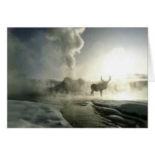 USA, Wyoming, Yellowstone National Park. Sunrise