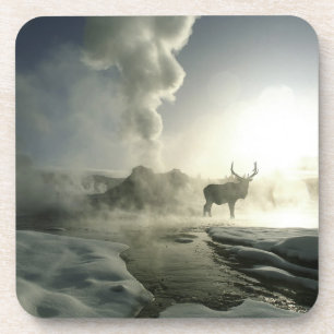 USA, Wyoming, Yellowstone National Park. Sunrise Beverage Coaster