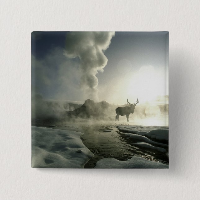 USA, Wyoming, Yellowstone National Park. Sunrise Button (Front)