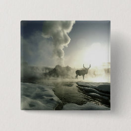 USA, Wyoming, Yellowstone National Park. Sunrise Button