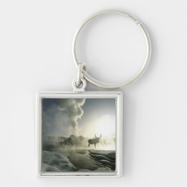 USA, Wyoming, Yellowstone National Park. Sunrise Keychain (Front)