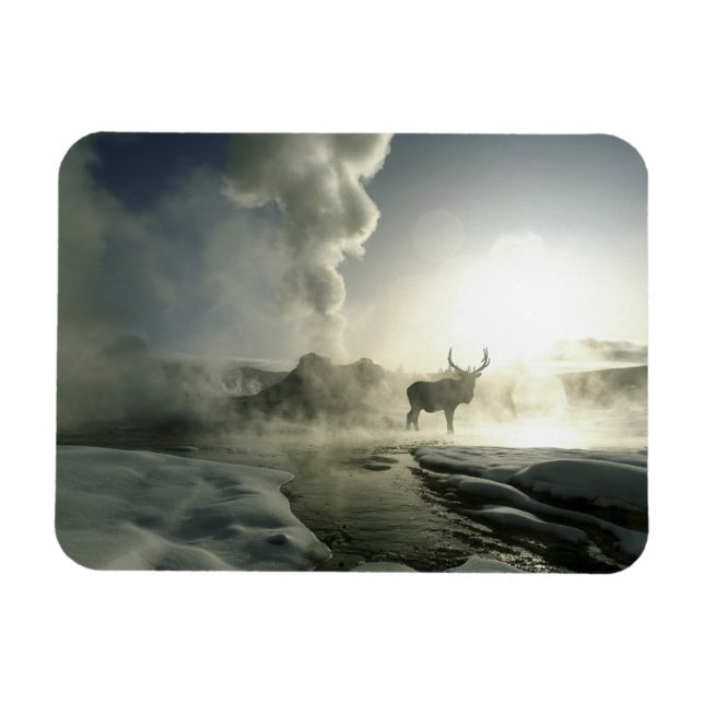 USA, Wyoming, Yellowstone National Park. Sunrise Magnet (Horizontal)