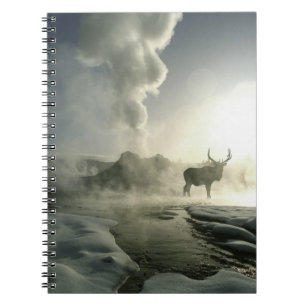 USA, Wyoming, Yellowstone National Park. Sunrise Notebook