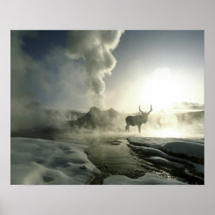 USA, Wyoming, Yellowstone National Park. Sunrise Poster