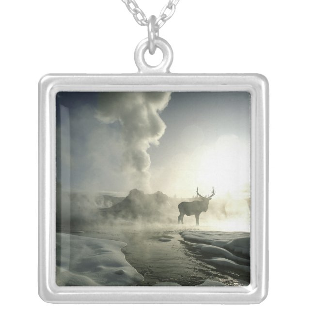 USA, Wyoming, Yellowstone National Park. Sunrise Silver Plated Necklace (Front)