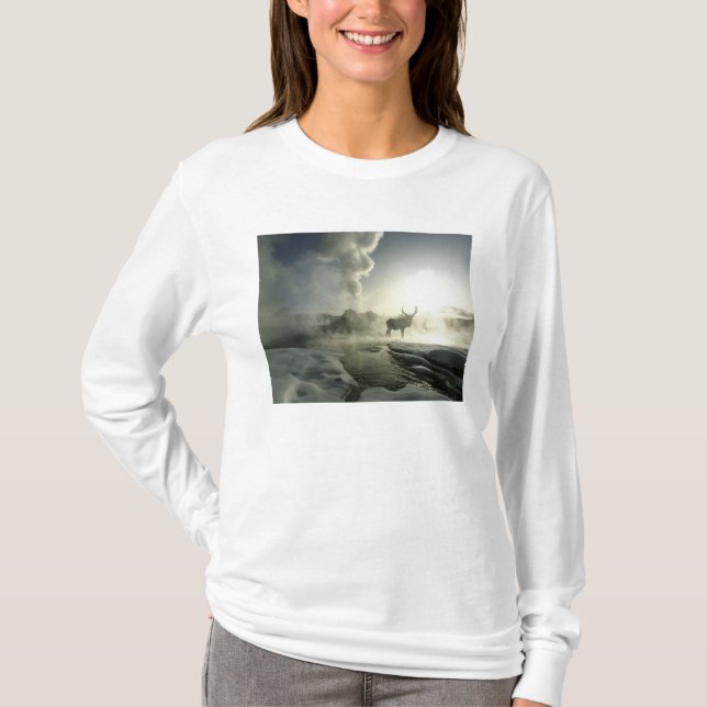 USA, Wyoming, Yellowstone National Park. Sunrise T-Shirt (Front)