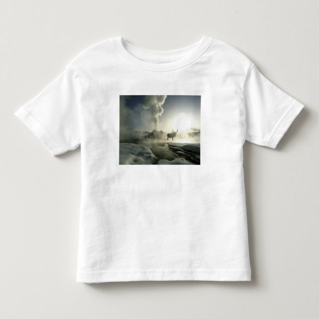 USA, Wyoming, Yellowstone National Park. Sunrise Toddler T-shirt (Front)