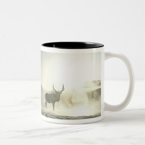 USA Wyoming Yellowstone National Park Sunrise Two_Tone Coffee Mug