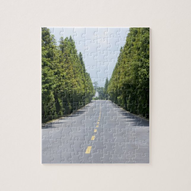 USA, Yellowstone National Park, Treelined road Jigsaw Puzzle (Vertical)
