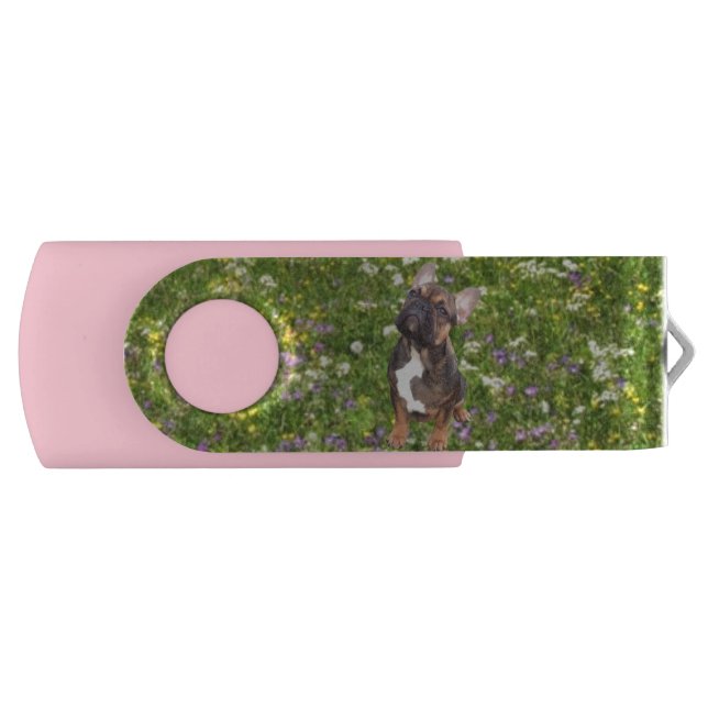 USB drive with swivel joint (Front)