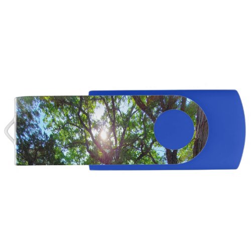 USB Flash Drive Sunshine through Trees