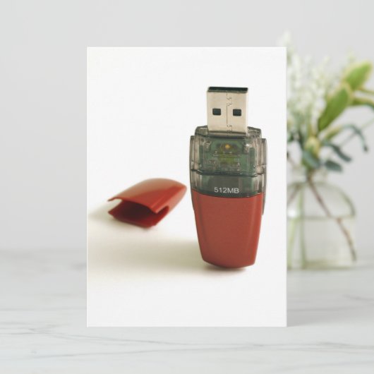 USB Flash pen (Standing Front)