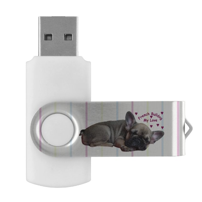 USB stick with pivot Flash Drive (Opened)