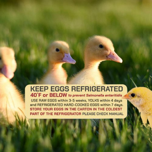 USDA Egg Carton Safety and Storage Regulations Label