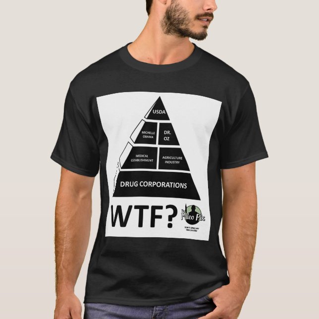 USDA FOOD PYRAMID T-SHIRT (Front)