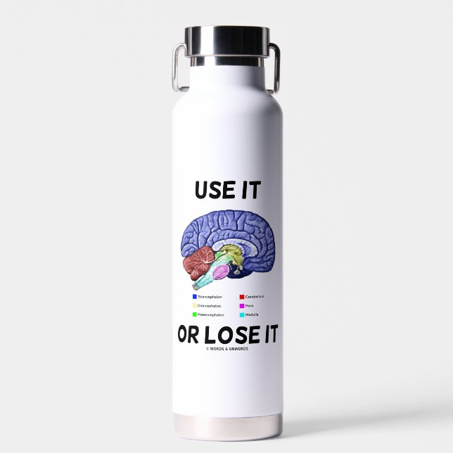 Use It Or Lose It Anatomical Brain Advice Humor Water Bottle (Front)