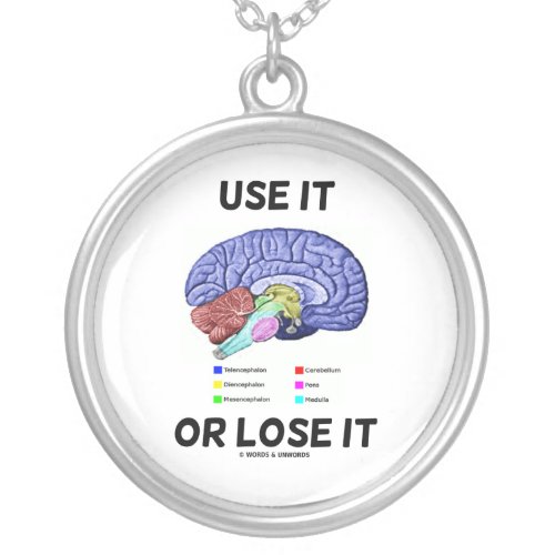 Use It Or Lose It Anatomical Brain Humor Silver Plated Necklace