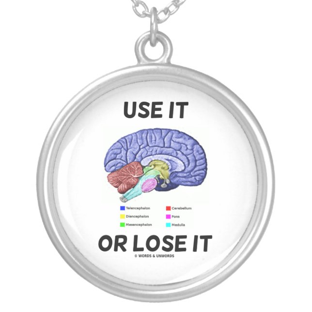 Use It Or Lose It (Anatomical Brain Humor) Silver Plated Necklace (Front)